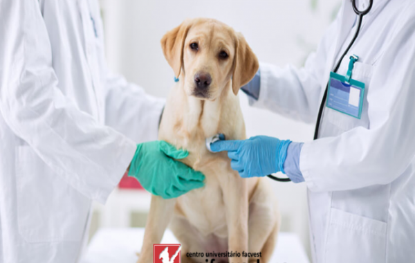 MEDICINA VETERINÁRIA - Noturno (Lages/SC)