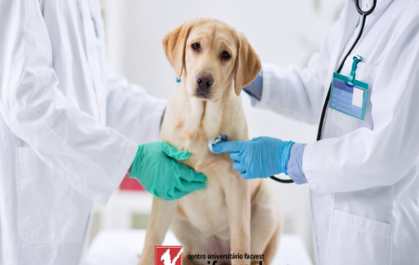 MEDICINA VETERINÁRIA - PRESENCIAL (Lages/SC)