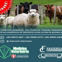 Curso na área de grandes animais 