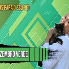 DEZEMBRO VERDE | DICAS PARA SEU PET