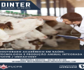 DINTER - DOUTORADO ACADÊMICO EM SAÚDE, TECNOLOGIA E PRODUÇÃO ANIMAL INTEGRADA - PUCPR / UNIFACVEST - EDITAL ABERTO