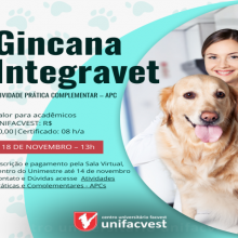 GINCANA INTEGRAVET