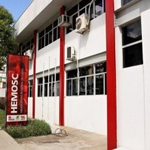 Quatorze de Junho: Dia Mundial do Doador de Sangue