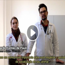 VÍDEO: DICAS PARA O SEU PET | SOCIALIZAÇÃO