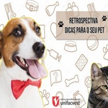 VÍDEO: DICAS PARA SEU PET EM RETROSPECTIVA