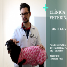 VÍDEO: CLÍNICA VETERINÁRIA UNIFACVEST - (49) 3018-7812